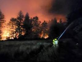 tausende quadratmeter in flammen: waldbrand wütet in bayern - autobahn gesperrt