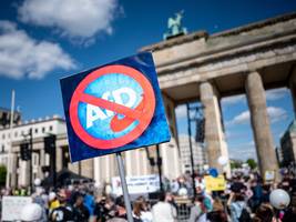 Demokratie: Die AfD verbieten? Über welche Punkte jetzt diskutiert wird