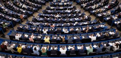 afd: eu-abgeordnete wollen europapartei der afd verbieten