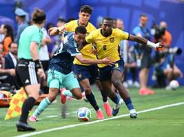 ecuador bei der wm: der schlaks und die bestie