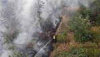 großeinsatz: waldbrand-lage stabilisiert sich - feuerwehrmann verletzt