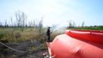 waldbrand-statistik: deutlich mehr waldbrände – gohrischheide besonders betroffen