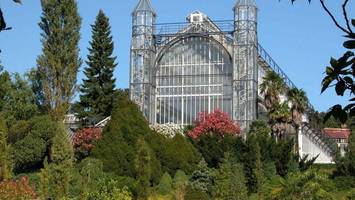 warum das mittelmeerhaus im botanischen garten überraschend gerettet ist
