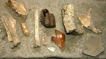 Berliner räumt Keller auf – und findet verschollene Archäologie-Sammlung