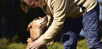 Haustiere: Mensch und Hund sind weltweit gute Freunde