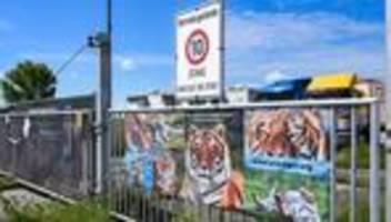 erschossener tiger: polizei und veterinäramt in tigerhaltung bei leipzig