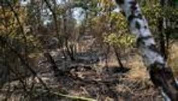 großeinsatz: einsatzkräfte melden löscherfolge bei waldbrand