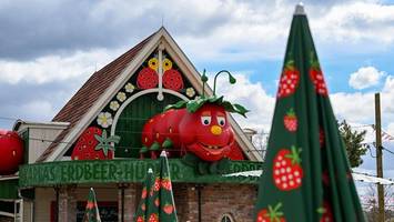 Neuer „Bibi & Tina-Freizeitpark“ soll Pferdemädchen feiern – was Familien erwartet
