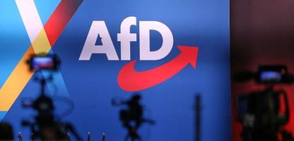 AfD: Neuer Parteisprecher kommt vom Institut der deutschen Wirtschaft