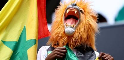 WM 2026 live: Belgien gegen Senegal im Liveticker