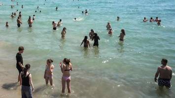 Meere so heiß wie nie: Forscher messen Temperaturrekord für Sommerbeginn