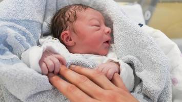 Neuer Baby-Boom für Hamburg? Geburtenrate geht komplett gegen Bundestrend