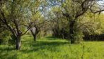 Kulturlandschaft: Streuobstwiesen in Hessen: Fünf Ziele zum Entdecken
