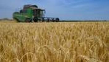 Landwirtschaft: Getreideernte gestartet - Landwirte unter Druck
