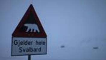 Raubtier kommt Menschen zu nah: Spitzbergen: Eisbär wegen Gefahr für Reisegruppe erschossen