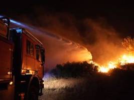 Feuer sind zeitiger dran: In Südfrankreich stehen 900 Hektar Wald in Flammen