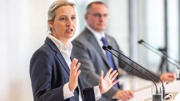 Neue Umfrage: AfD vergrößert Abstand zur Union – schwache Werte für Schwarz-Rot