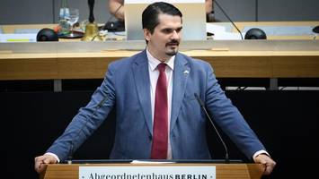 Grüne und Linke in Berlin pochen auf AfD-Verbotsverfahren