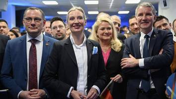 Die Extremisten-Klausel in der AfD wackelt – die Partei ringt um ihren Kurs