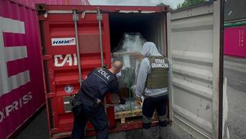 Cannabis im Wert von zwölf Millionen Euro im Hamburger Hafen entdeckt
