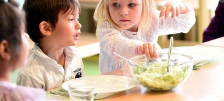 kita- und schulessen nach vitadora-insolvenz: diese lösung gilt ab 1. juli – das müssen eltern wissen
