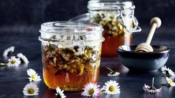 veganer und bienenfreundlicher gänseblümchen-honig