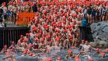 Freiwasserschwimmen: Mehr als 1.000 Schwimmer trotzen Strelasund