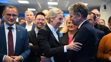 Machtkampf statt Einigkeit: AfD-Doppelspitze steht unter Druck