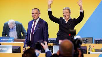 Weidel sichert Machtbasis in der AfD – für Chrupalla klingeln die Alarmglocken