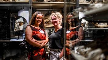 Museum für Naturkunde: Mit Schädeln und Hörnern die Welt besser verstehen