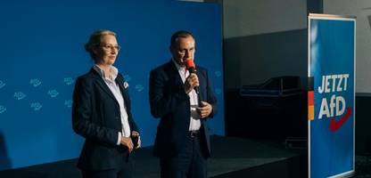 afd: machtkampf zwischen alice weidel und tino chrupalla spitzt sich zu