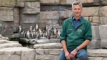 Hagenbeck-Tierarzt Michael Flügger: Der Mann, vor dem alle Tiere Reißaus nehmen