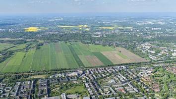 Lupe nicht vergessen: Botanischer Verein lädt zur Expedition in Bergedorf ein