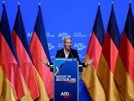 parteitag in erfurt: die afd legt sich das parfüm der rechtsstaatlichkeit an