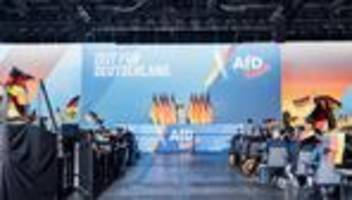 afd-parteitag: ohne ihren extremismus ist die afd nichts