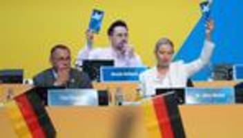 Delegiertentreffen: AfD-Parteitag zu Ende