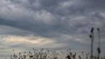 Wetter: Trübe Aussichten: Das Wetter im Norden bleibt grau