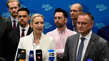 Die AfD ist kein chaotischer Haufen mehr – und das ist gefährlich