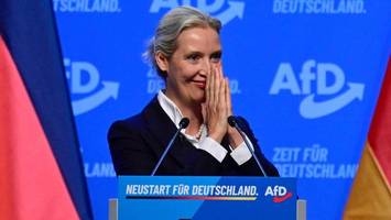 partei der „loser und besserwisser“? alice weidel und ihre macht in der afd