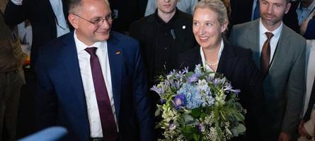 Weidel baut ihre Macht aus – mit Höckes Hilfe