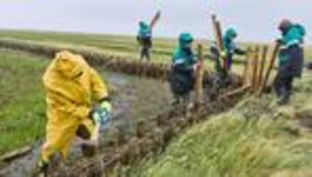Arbeiten im Küstenschutz: Klimakrise fordert Küstenschutz – Wasserbauer im Einsatz