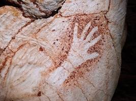 Archäologie: Tatort Höhlenwand: DNA-Spuren der ersten Künstler Europas
