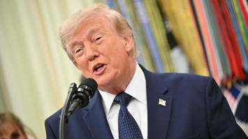 Trump zum Ukraine-Krieg: „Putin will, dass es endet“