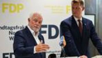 Parteien: Kubicki und Höne wollen gemeinsam für FDP-Comeback kämpfen