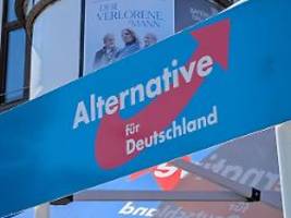 Verstöße gegen Grundwerte: EU-Parlamentarier lassen Parteienfamilie der AfD überprüfen