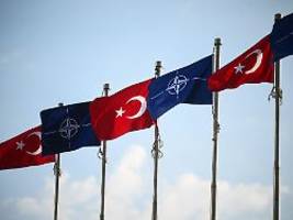 Zeigt sich Trump nachtragend?: Was der Nato-Gipfel in Ankara bringen könnte