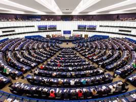 EU-Parlament: Warum die AfD-Europapartei bald den Parteienstatus verlieren könnte