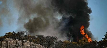 Waldbrände in Südeuropa: Flammen zwingen Tausende zur Flucht