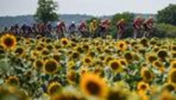 Radsport: Tour-Debütant Kanter sprintet auf Platz zwei - Kooij siegt