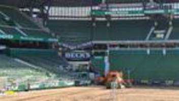 Weserstadion in Bremen: Tribüne im Bremer Weserstadion bei Bauarbeiten eingestürzt